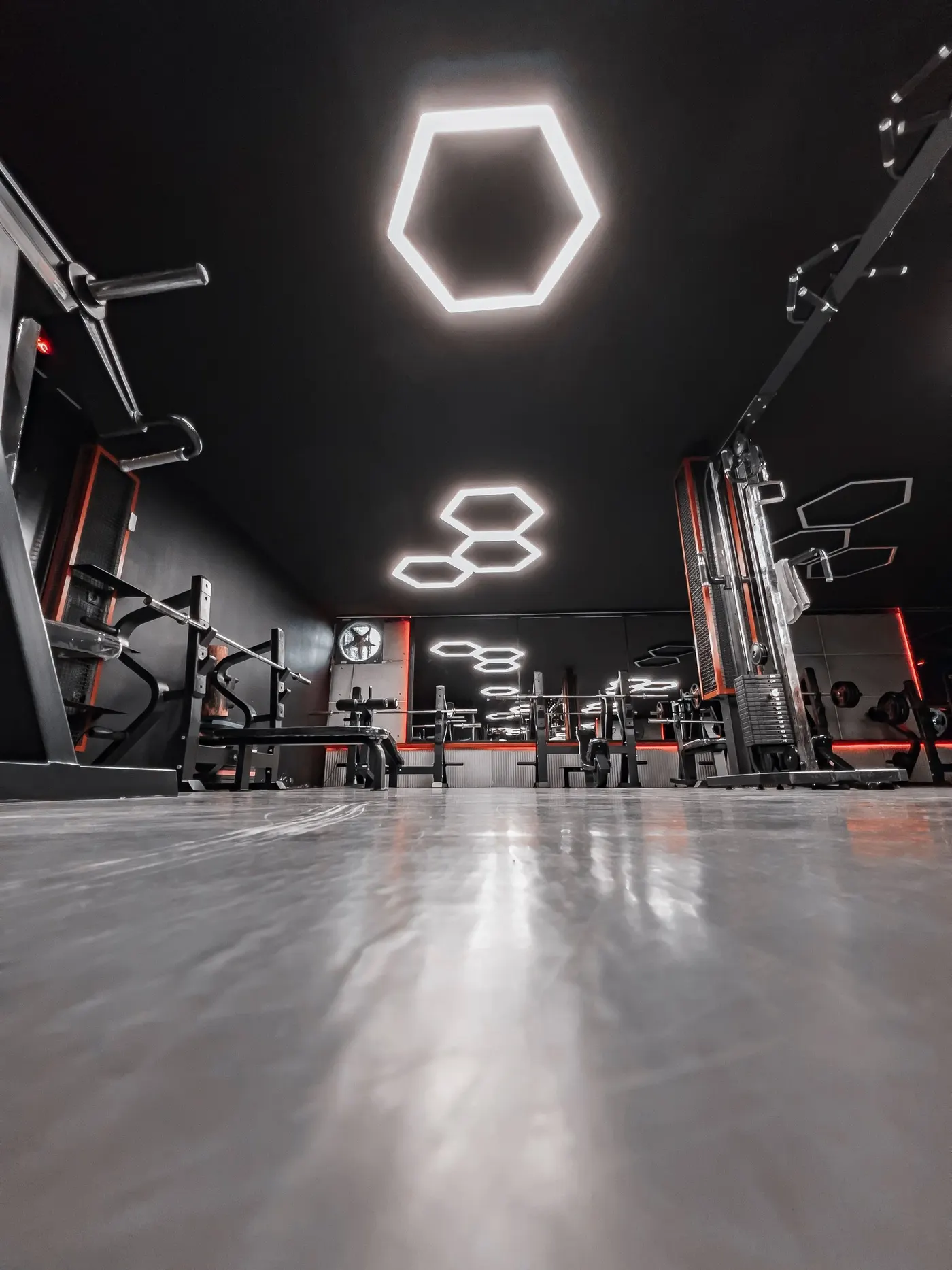 Fitness — premium website design by Agency